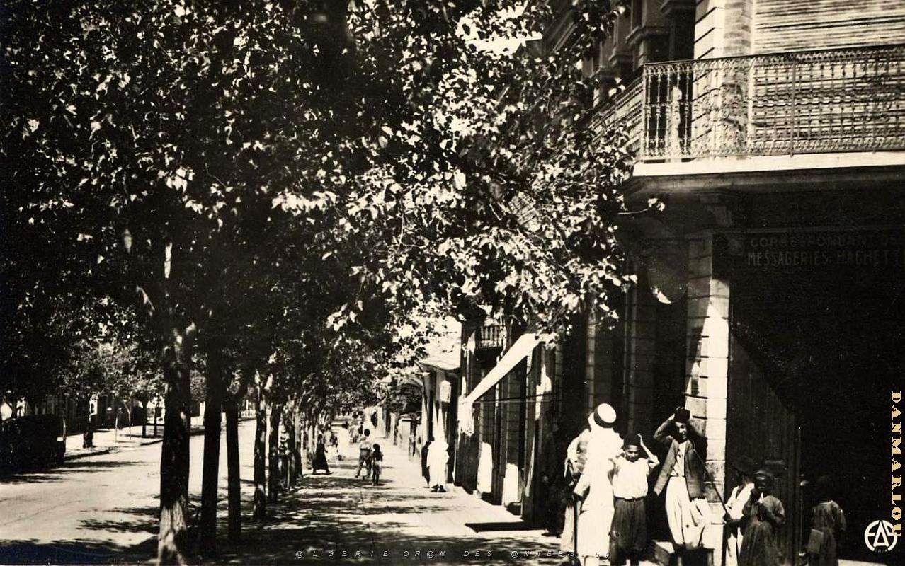 Saida 521- Avenue Gambetta COLLECTION DES AMIS DE ND DE SANTA CRUZ.jpg